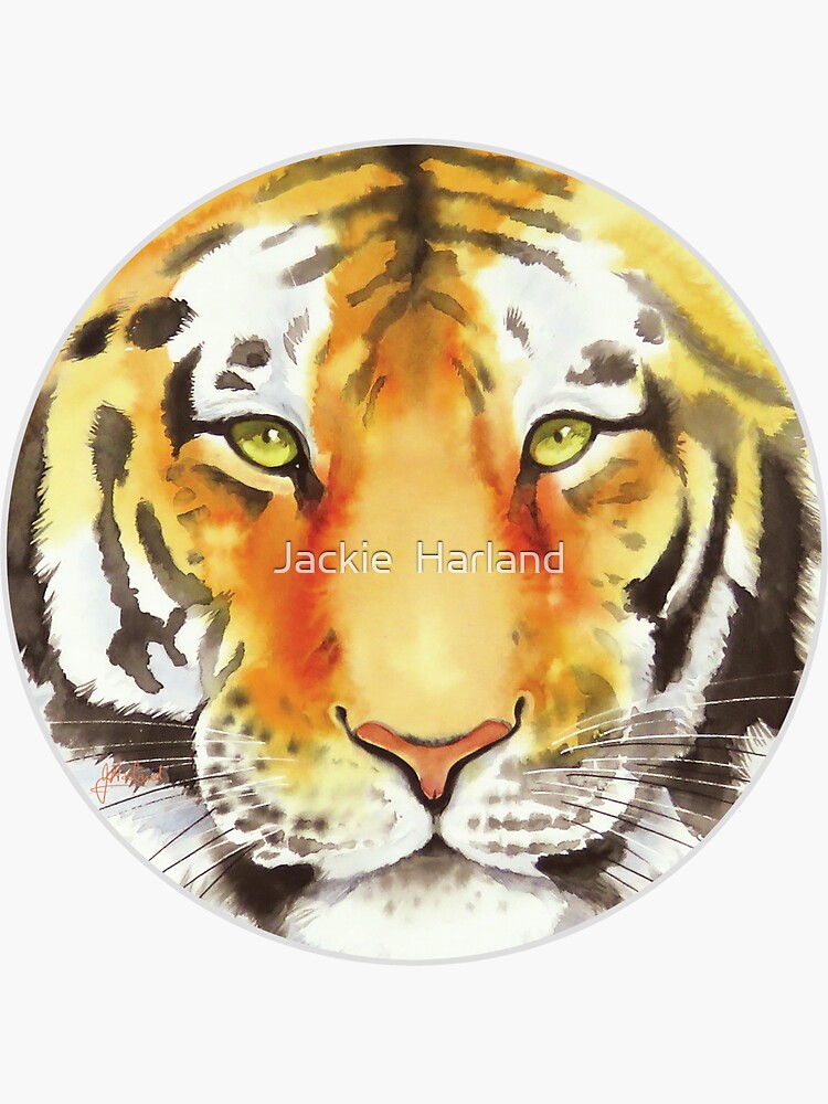 Tiger Face by Meadowpipit