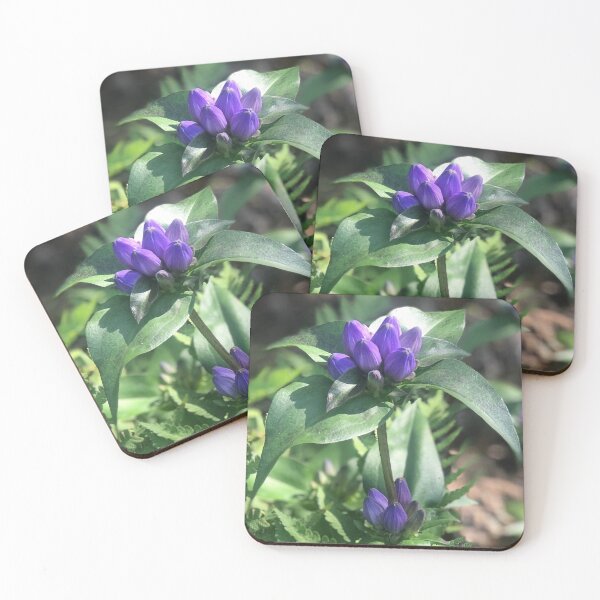Item preview, Purple Passion designed and sold by DoreenMLanga.