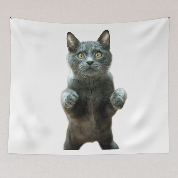 Item preview, Dangerous Cat designed and sold by shopcom.