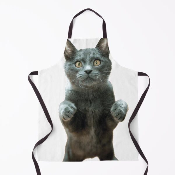 Item preview, Dangerous Cat designed and sold by shopcom.
