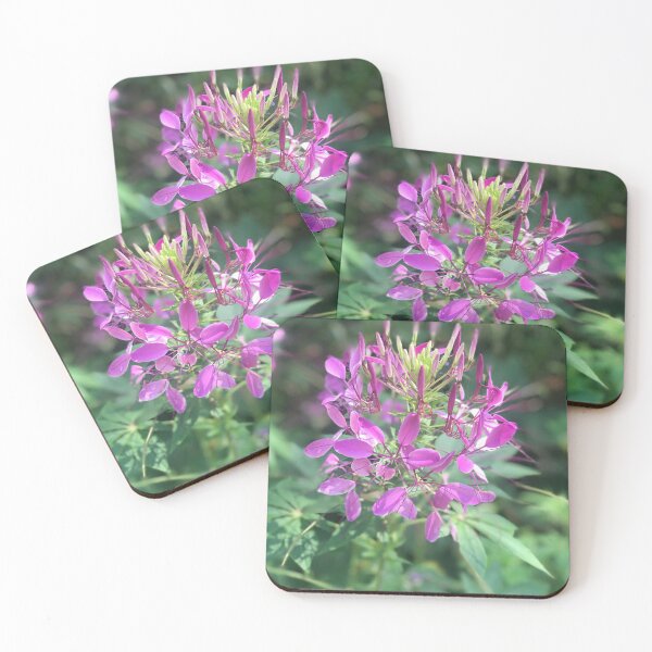 Item preview, Wild About Maine designed and sold by DoreenMLanga.
