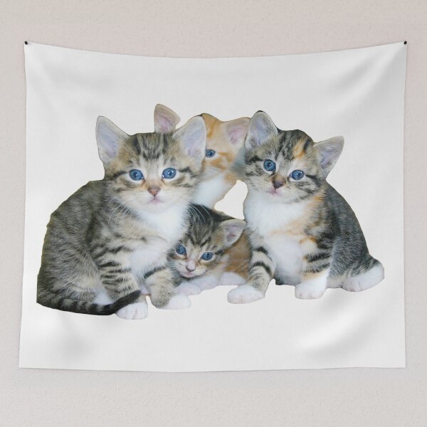 Item preview, Cute Kittens || Baby Kittens designed and sold by BlessingDirect.