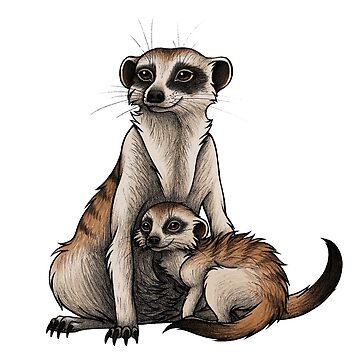 Artwork thumbnail, Meerkat by lyndseygreen