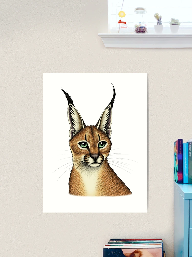 Caracal