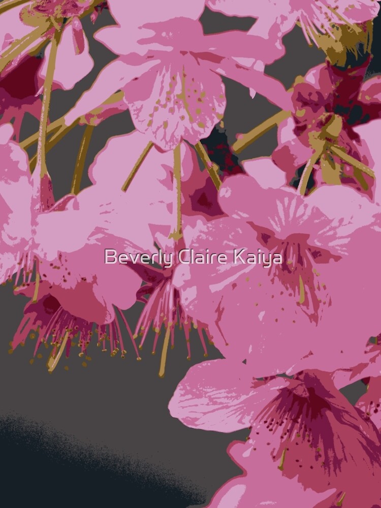 Beautiful Pink Sakura Cherry Blossoms Illustration by beverlyclaire