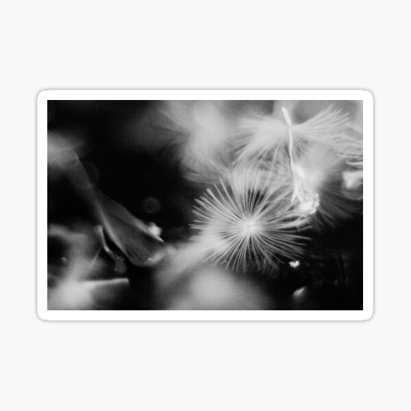 untitled in grey, part 3 Sticker