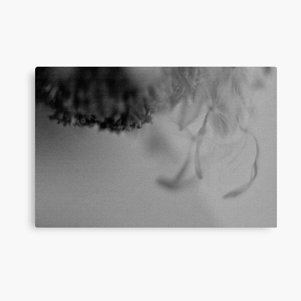 untitled in grey, part 4 Metallbild