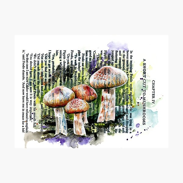 A Short Cut to Mushrooms Photographic Print