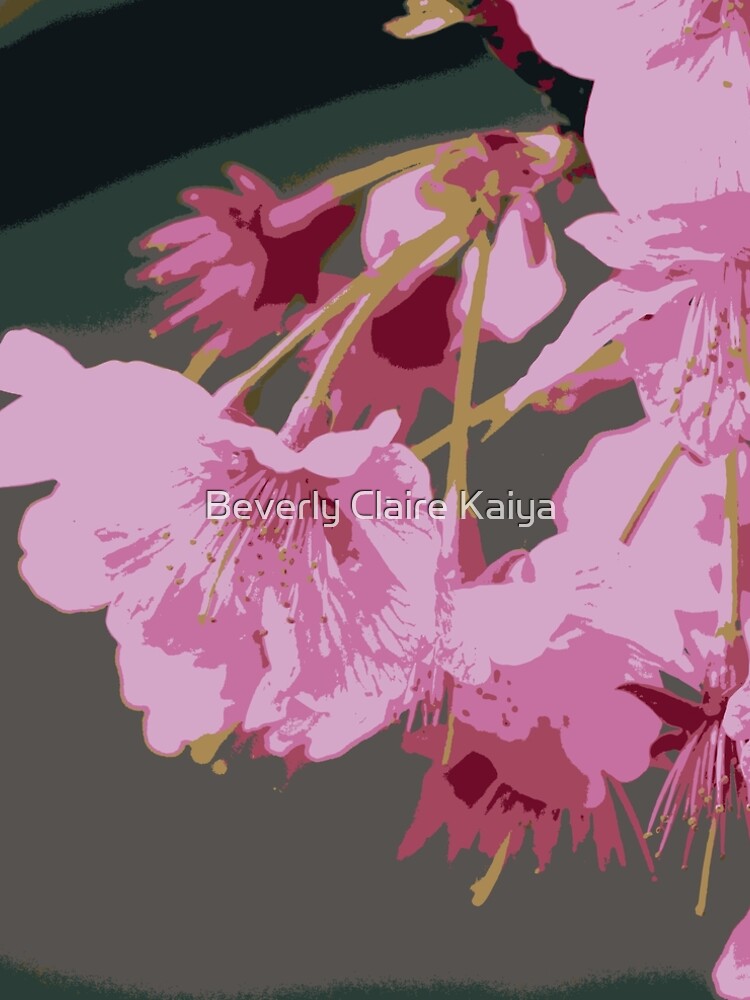 Beautiful Pink Sakura Cherry Blossoms Illustration 2 by beverlyclaire