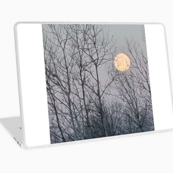 Late Winter Scene Laptop Skin