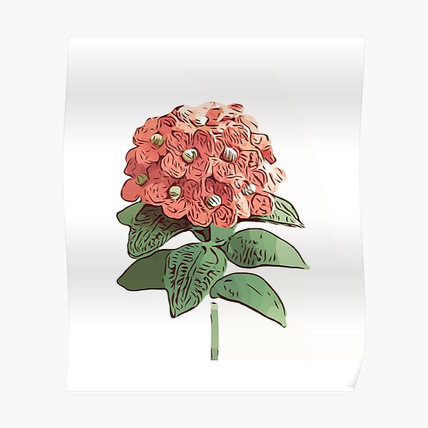 Bleeding heart with leaves Poster
