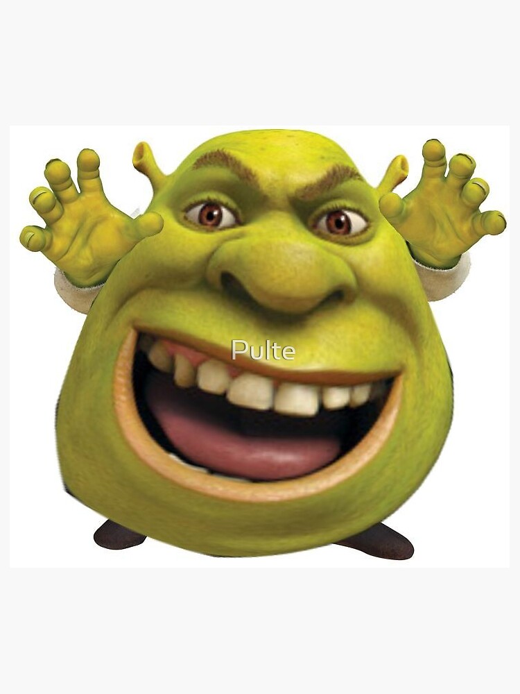 Shrek meme | Magnet