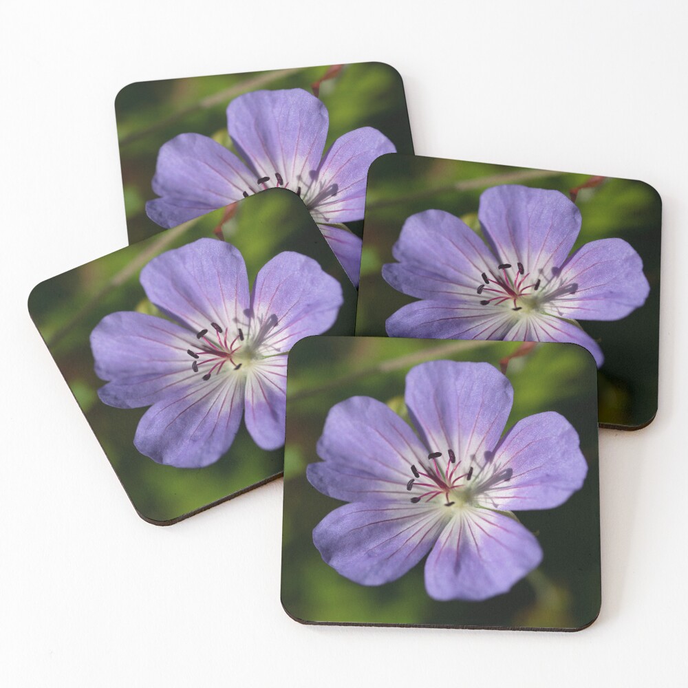 Item preview, Coasters (Set of 4) designed and sold by codaimages.