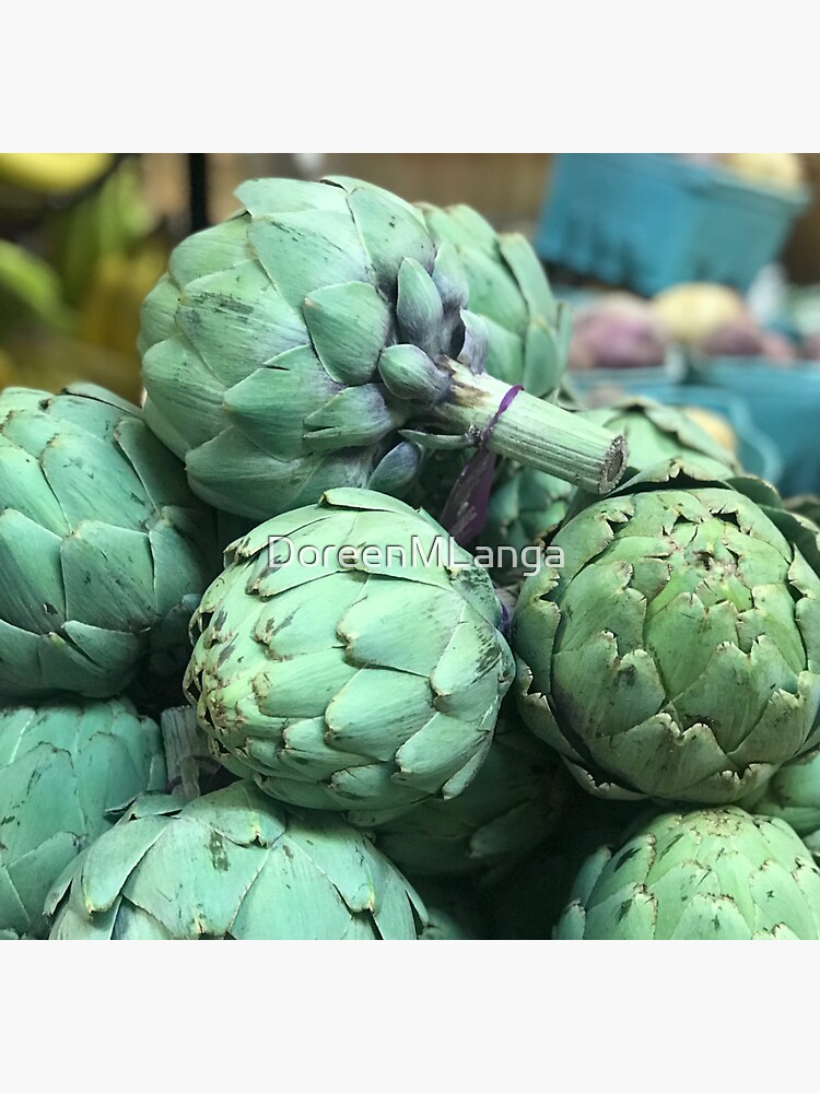 "Okie Dokie Artichokie" Sticker for Sale by DoreenMLanga Redbubble