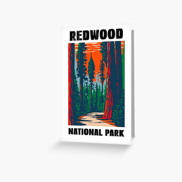 Redwood National Park, Redwood Trees Greeting Card