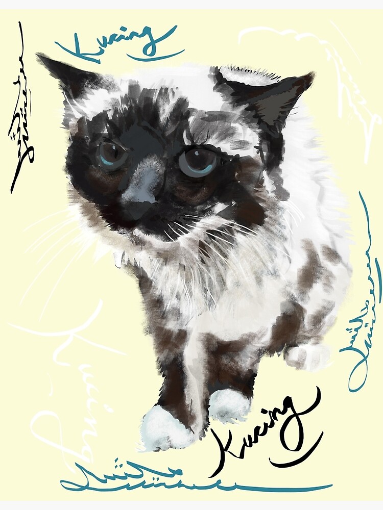  Kucing  Drawing Mewarnai Gambar kucing  Yang Lucu zahrah 
