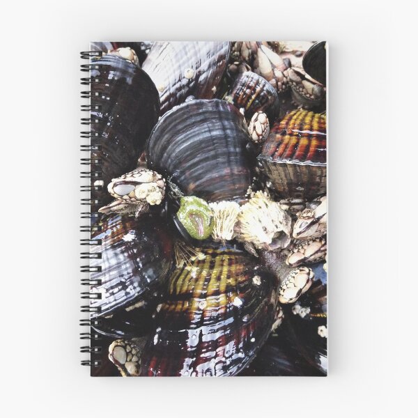 Item preview, Mussels in the Tide designed and sold by Kelley-Art.