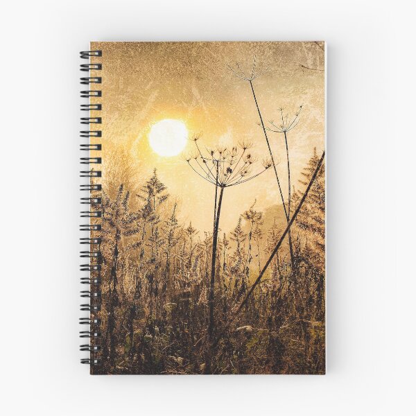 Item preview, Sun and Seedheads designed and sold by S-Warner.