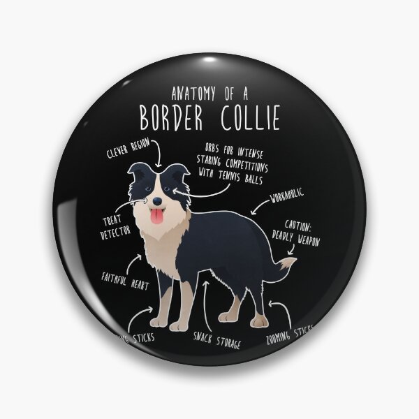 Item preview, Border Collie Anatomy designed and sold by Clara Hollins.