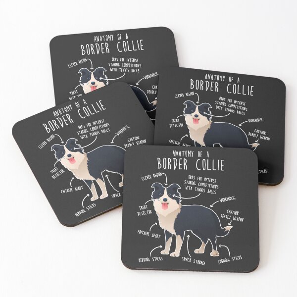 Item preview, Border Collie Anatomy designed and sold by Clara Hollins.