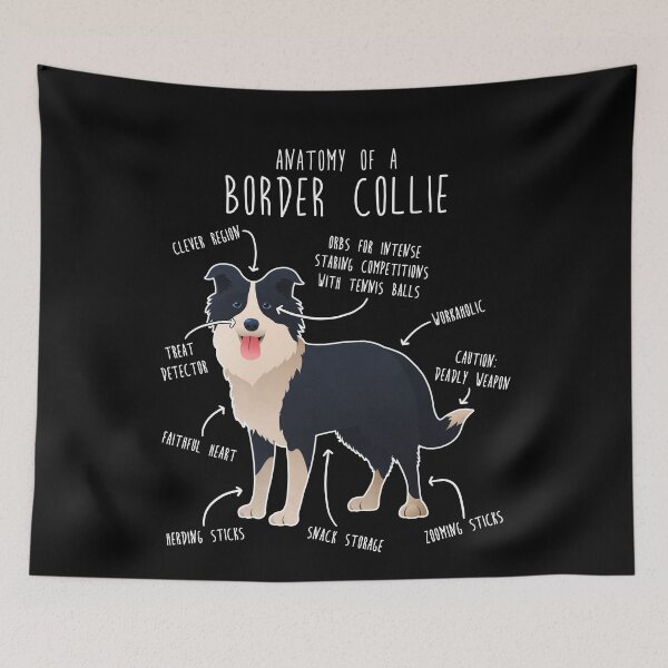 Item preview, Anatomía del Border Collie designed and sold by Clara Hollins.