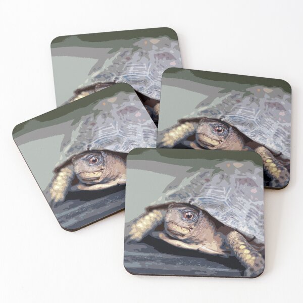 Item preview, Abstract Box Turtle designed and sold by StampCity.