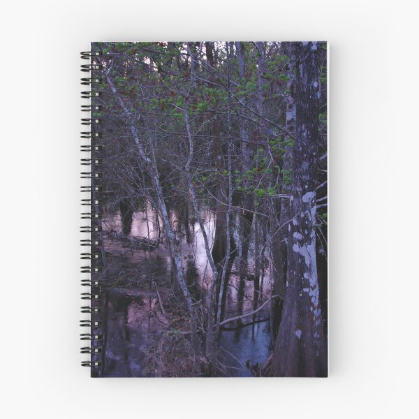 Item preview, Sunset in the Green Swamp designed and sold by InhumanImaging.