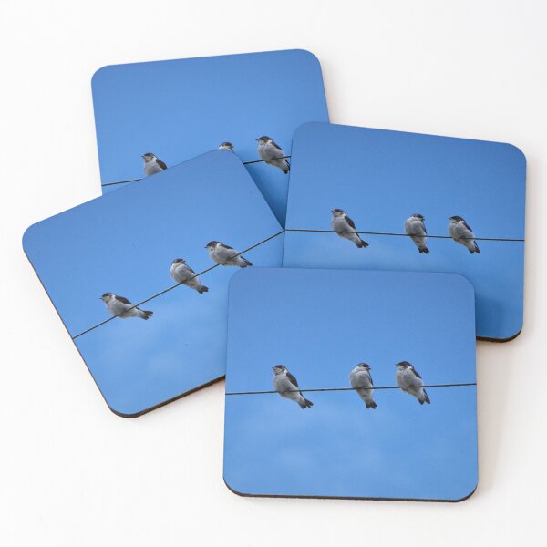 Item preview, Three Tree Swallows on a Wire designed and sold by Kelley-Art.