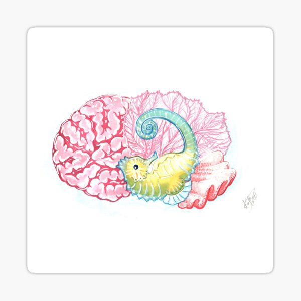 Hippocampus Sticker