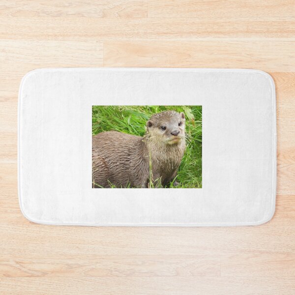 Item preview, A Fabulous Little Otter designed and sold by Karen Thomson.