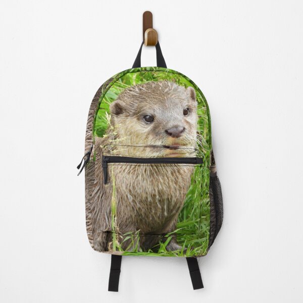 Item preview, A Fabulous Little Otter designed and sold by Karen Thomson.