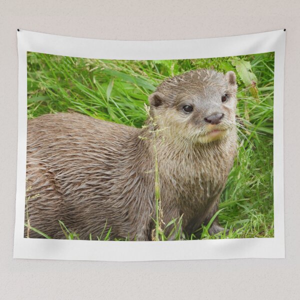 Item preview, A Fabulous Little Otter designed and sold by Karen Thomson.