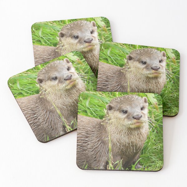 Item preview, A Fabulous Little Otter designed and sold by Karen Thomson.