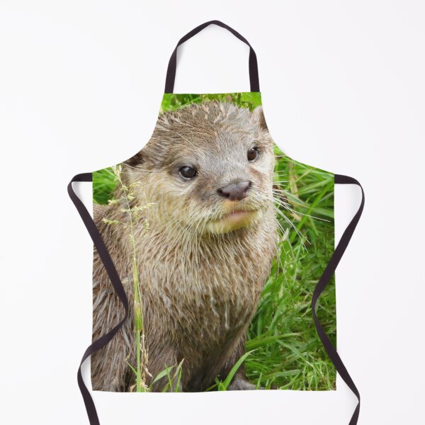 Item preview, A Fabulous Little Otter designed and sold by Karen Thomson.