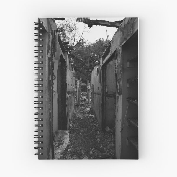 Item preview, Halls of Ruin designed and sold by InhumanImaging.