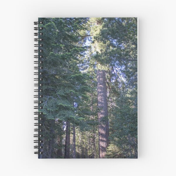 Item preview, Sugar Pine designed and sold by DonClift.