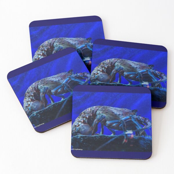 Item preview, Rock Lobster designed and sold by Thaddeus Zajdowicz.