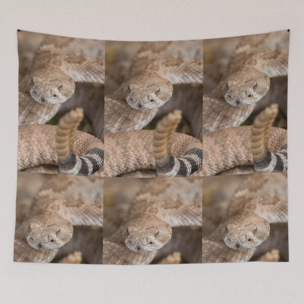 Item preview, Rattlesnake designed and sold by WorldDesign.