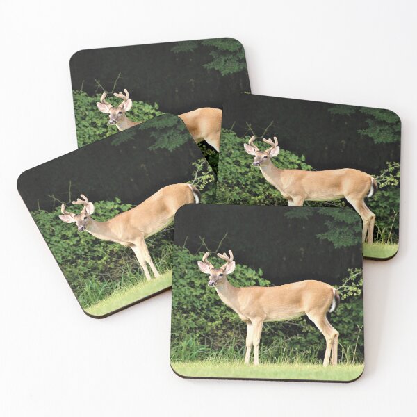 Item preview, Whitetail Buck designed and sold by nhibryant.