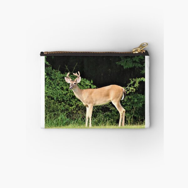 Item preview, Whitetail Buck designed and sold by nhibryant.