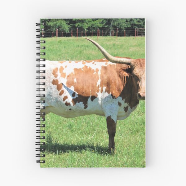 Item preview, Longhorn Cow designed and sold by nhibryant.
