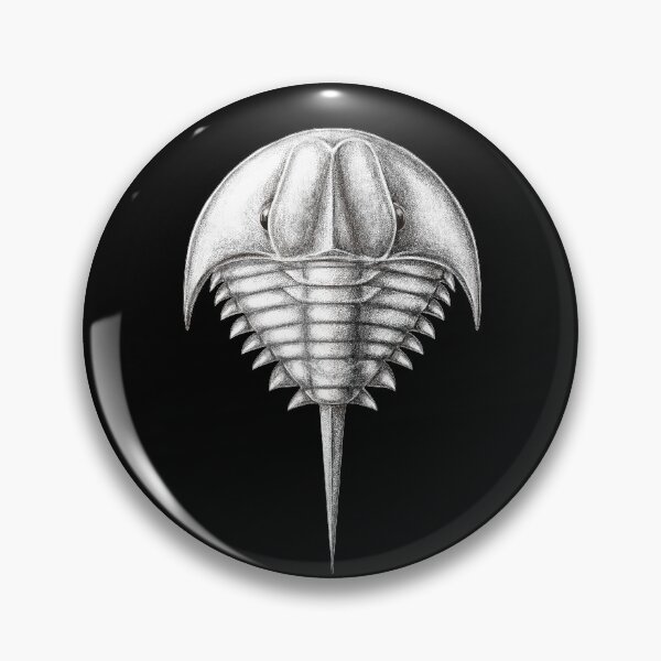 Item preview, horseshoe crab extinct species- Patesia randalli designed and sold by Katrina Kenny.