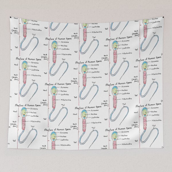 Item preview, Human Sperm Colourful Cute Accurate designed and sold by labstud.
