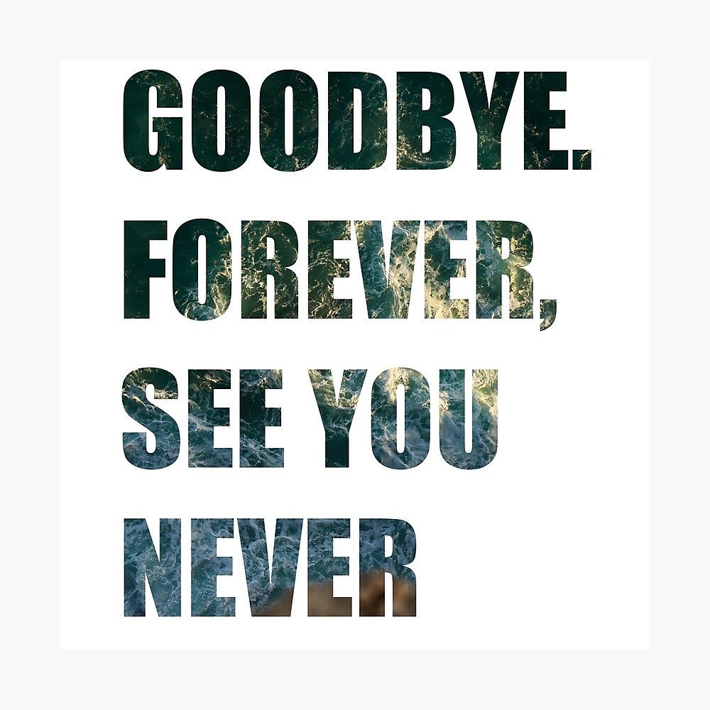 Goodbye forever see you never