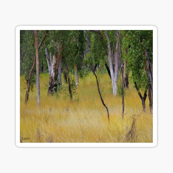 Item preview, Bush australien designed and sold by AHELENE.