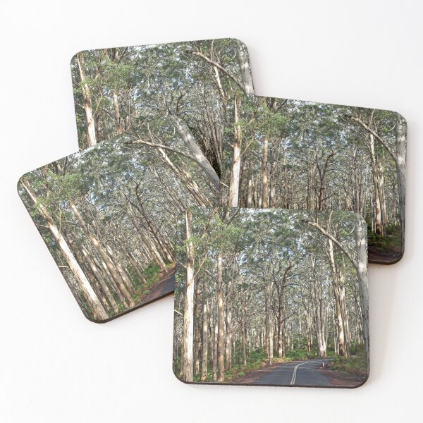 Item preview, Boranup Forest  designed and sold by Rainbow Farm Photography.