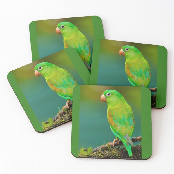 Item preview, Green Parrot,  Orange-chinned parakeet designed and sold by MorningFive.