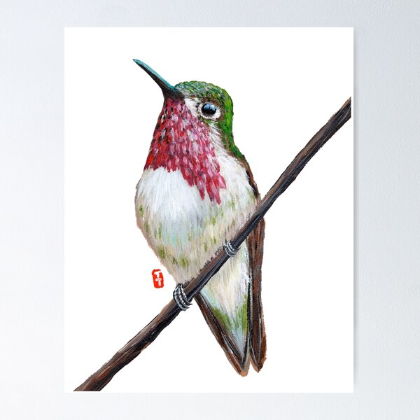 Item preview, Calliope Hummingbird designed and sold by Roy & Tiffany.