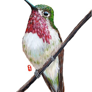 Artwork thumbnail, Calliope Hummingbird by Roy & Tiffany