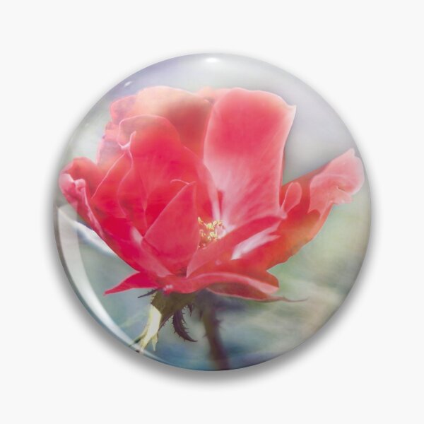 Aperçu de l'œuvre Rose et brouillard  créée et vendue par KbytesOfJax Outdoor and Nature.